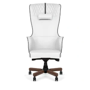 صندلی مدیریتی انرژی مدل M2022W با پس‌زمینه سفید