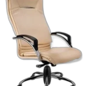 صندلی مدیریتی البرز مدل M710