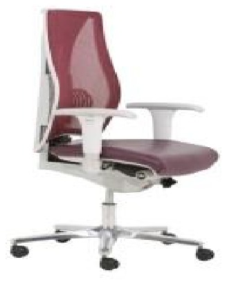 صندلی کارشناسی سیلا مدل B18ID